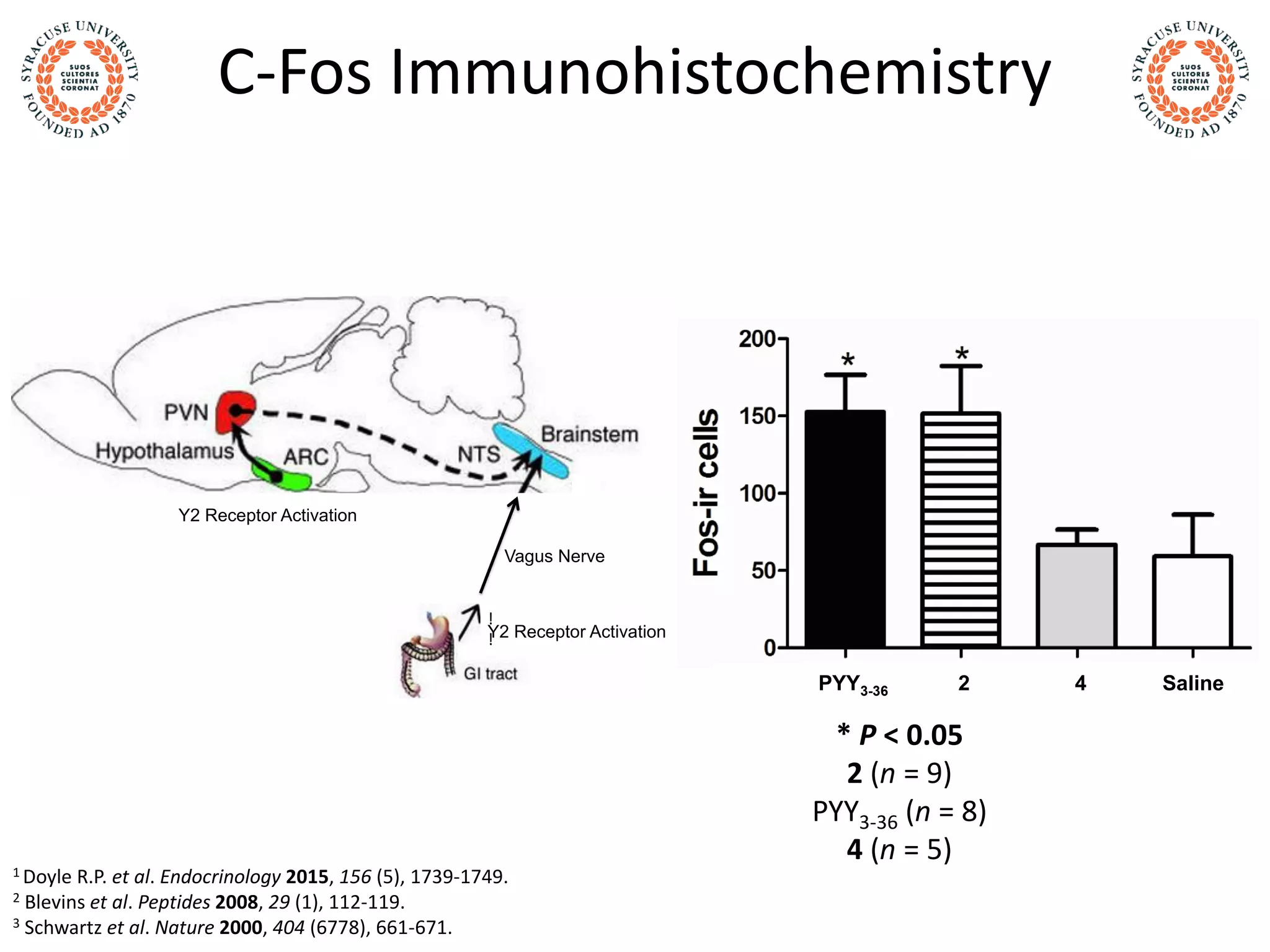 C-Fos Immunohistochemistry
PYY3-36 2 4 Saline
Y2 Receptor Activation
!
!Y2 Receptor Activation
Vagus Nerve
1 Doyle R.P. et al. Endocrinology 2015, 156 (5), 1739-1749.
2 Blevins et al. Peptides 2008, 29 (1), 112-119.
3 Schwartz et al. Nature 2000, 404 (6778), 661-671.
* P < 0.05
2 (n = 9)
PYY3-36 (n = 8)
4 (n = 5)
 