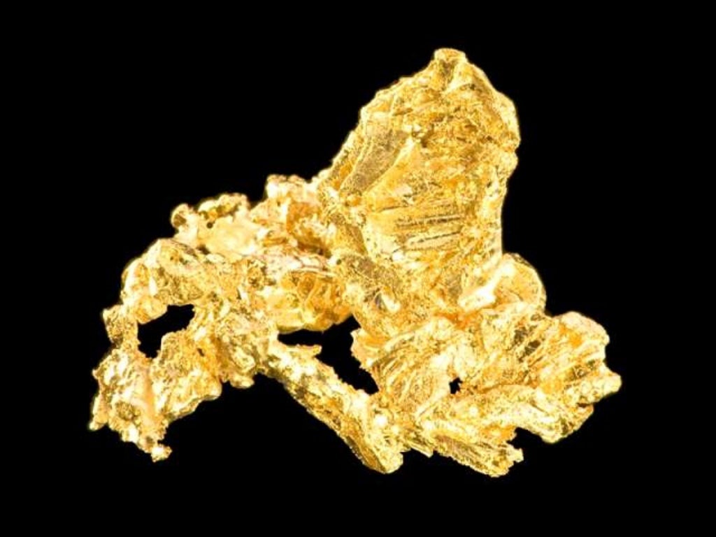 black and gold vm plus