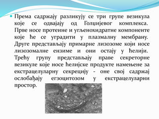  Према садржају разликују се три групе везикула
које се одвајају од Голџијевог комплекса.
Прве носе протеине и угљенохидратне компоненте
које ће се уградити у плазмалну мембрану.
Друге представљају примарне лизозоме који носе
лизозомалне ензиме и они остају у ћелији.
Трећу групу представљају праве секреторне
везикуле које носе ћелијске продукте намењене за
екстрацелуларну секрецију - оне свој садржај
ослобађају егзоцитозом у екстрацелуларни
простор.
 