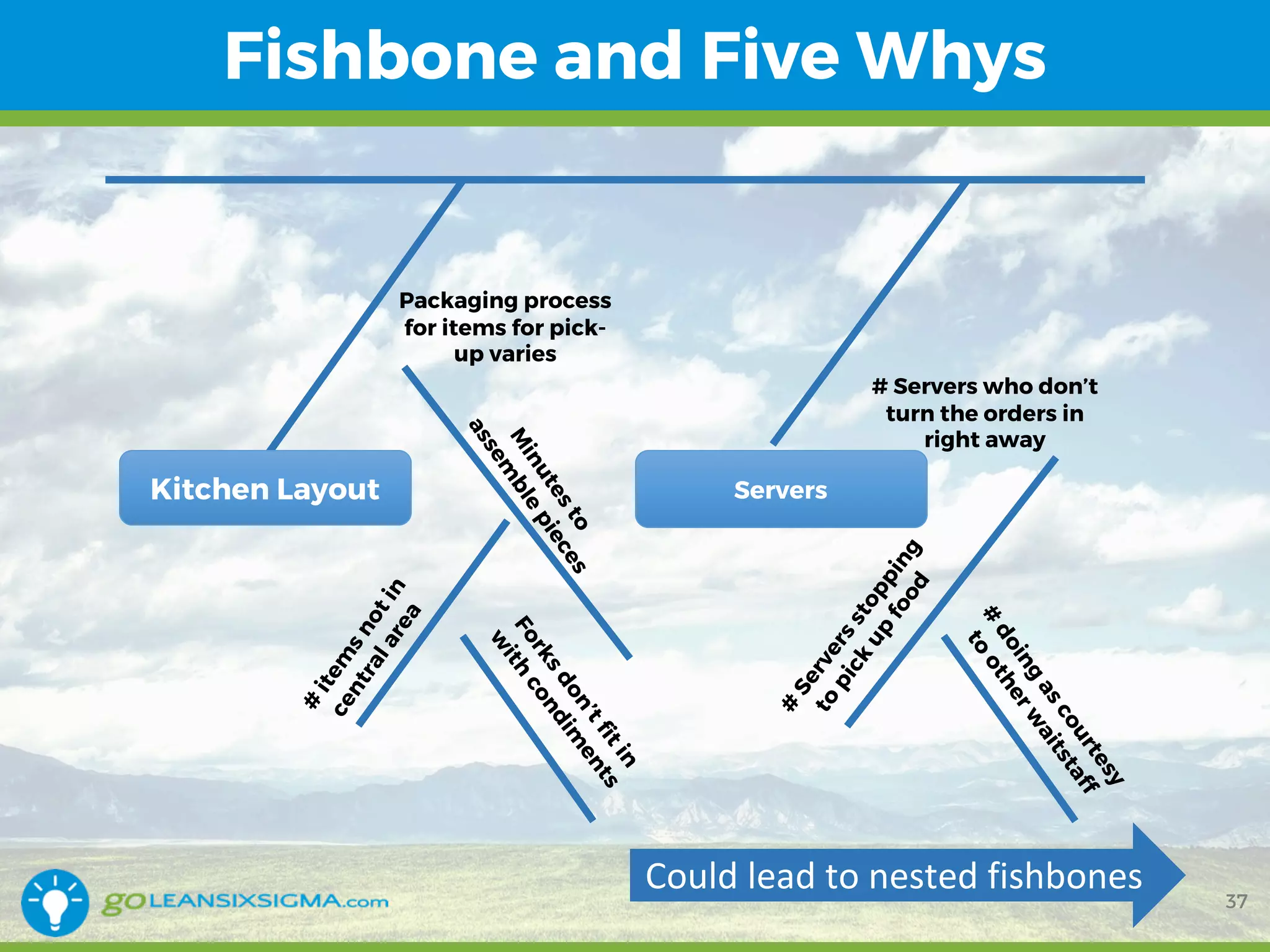 WEBINAR: How to Use a Fishbone Diagram (aka Cause & Effect Diagram) | PDF