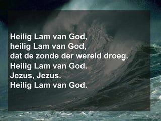 Heilig Lam van God,heilig Lam van God,dat de zonde der wereld droeg.Heilig Lam van God.Jezus, Jezus.Heilig Lam van God.