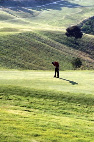 Golfe