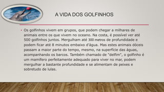 A VIDA DOS GOLFINHOS
• Os golfinhos vivem em grupos, que podem chegar a milhares de
animais entre os que vivem no oceano. Na costa, é possível ver até
500 golfinhos juntos. Mergulham até 300 metros de profundidade e
podem ficar até 8 minutos embaixo d’água. Mas estes animais dóceis
passam a maior parte do tempo, mesmo, na superfície das águas,
acompanhando os barcos. Também chamado de "delfim", o golfinho é
um mamífero perfeitamente adequado para viver no mar, podem
mergulhar a bastante profundidade e se alimentam de peixes e
sobretudo de lulas.
 