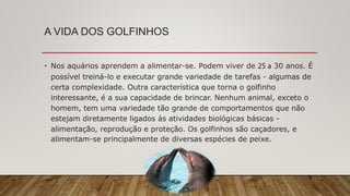 A VIDA DOS GOLFINHOS
• Nos aquários aprendem a alimentar-se. Podem viver de 25 a 30 anos. É
possível treiná-lo e executar grande variedade de tarefas - algumas de
certa complexidade. Outra característica que torna o golfinho
interessante, é a sua capacidade de brincar. Nenhum animal, exceto o
homem, tem uma variedade tão grande de comportamentos que não
estejam diretamente ligados às atividades biológicas básicas -
alimentação, reprodução e proteção. Os golfinhos são caçadores, e
alimentam-se principalmente de diversas espécies de peixe.
 