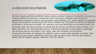 A VIDA DOS GOLFINHOS
Contudo alguns golfinhos preferem lulas e outros comem moluscos e camarão. As orcas, os
maiores golfinhos existentes, consomem tudo o que já foi referido anteriormente e
geralmente consomem mais do que qualquer outro golfinho. Um macho adulto em cativeiro
devora cerca e160 Km de peixe por dia, mas a média e de 79 Kg para os machos, 63 Kg para
as fêmeas e 16 Kg para os bebês. Em cativeiro, as orcas alimentam-se de peixe morto, em
liberdade, além de peixe também se alimentam de outros mamíferos como as focas, e os
leões marinhos. Os cientistas determinam a dieta dos golfinhos examinando o estomago
dos animais mortos nas praias e por vezes, mas com raridade, as suas fezes.
Provavelmente todas as espécies de golfinhos usam o sonar para apanhar os peixes. Mas
quando as orcas caçam mamíferos marinhos, têm de fazer muito mais do que utilizar o
sonar, têm de esperar quietas, observar e por fim atacar.
 