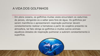 A VIDA DOS GOLFINHOS
• Em pleno oceano, os golfinhos muitas vezes encurralam os cadurmes
de peixes, obrigando-os a saltar para fora de água. Os golfinhos por
serem mamíferos e apresentarem respiração pulmonar devem
constantemente realizar a hematose a partir do oxigênio presente na
atmosfera, tal fato obriga os golfinhos e muitos outros animais
aquáticos dotados de respiração pulmonar a subirem constantemente à
superfície.
 