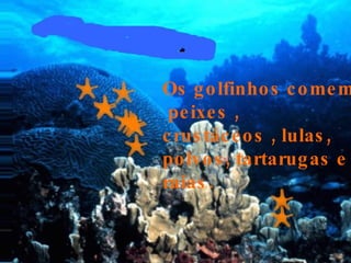 Os g o lfinho s c o me m
 pe ixe s ,
c rus tác e o s , lulas ,
po lvo s , tartarug as e
raias .
 