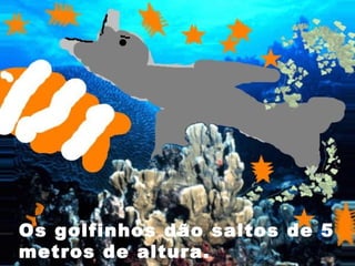 Os golfinhos dão saltos de 5
metros de altura.
 