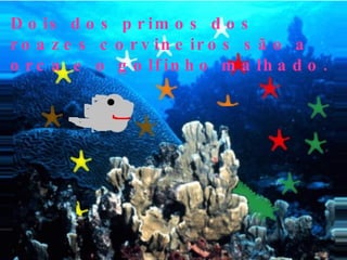 D o is d o s p r im o s d o s
r o a z e s c o r v in e ir o s s ã o a
o r c a e o g o lf in h o m a lh a d o .
 