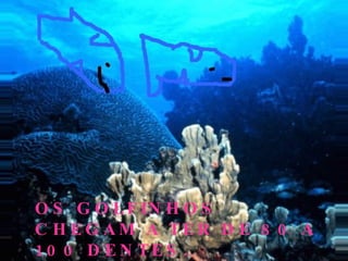 O S G O L F IN H O S
C H E G AM A TE R D E 8 0 A
10 0 D E N TE S .
 