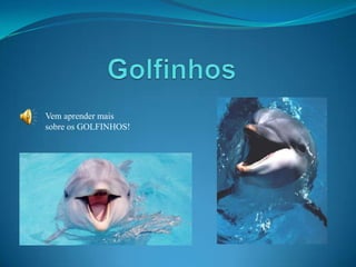 Vem aprender mais
sobre os GOLFINHOS!
 