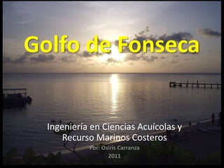 Golfo de Fonseca Ingeniería en Ciencias Acuícolas y Recurso Marinos Costeros Por: Osiris Carranza 2011 