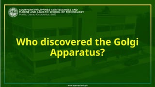 Who discovered the Golgi
Apparatus?
 