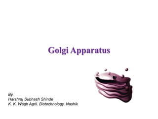 Golgi Apparatus
By.
Harshraj Subhash Shinde
K. K. Wagh Agril. Biotechnology, Nashik
 