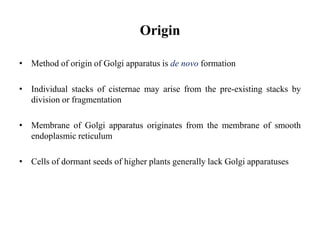 Origin
• Method of origin of Golgi apparatus is de novo formation
• Individual stacks of cisternae may arise from the pre-existing stacks by
division or fragmentation
• Membrane of Golgi apparatus originates from the membrane of smooth
endoplasmic reticulum
• Cells of dormant seeds of higher plants generally lack Golgi apparatuses
 