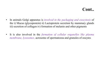Cont..
• In animals Golgi apparatus is involved in the packaging and exocytosis of
the i) Mucus (glycoprotein) ii) Lactoprotein secretion by mammary glands
iii) secretion of collagen iv) formation of melanin and other pigments
• It is also involved in the formation of cellular organelles like plasma
membrane, lysosomes, acrosome of spermatozoa and granules of oocytes
 