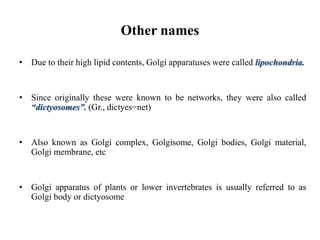 Other names
• Due to their high lipid contents, Golgi apparatuses were called lipochondria.
• Since originally these were known to be networks, they were also called
“dictyosomes”. (Gr., dictyes=net)
• Also known as Golgi complex, Golgisome, Golgi bodies, Golgi material,
Golgi membrane, etc
• Golgi apparatus of plants or lower invertebrates is usually referred to as
Golgi body or dictyosome
 