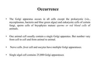 Occurrence
• The Golgi apparatus occurs in all cells except the prokaryotic (viz.,
mycoplasmas, bacteria and blue green algae) and eukaryotic cells of certain
fungi, sperm cells of bryophytes mature sperms or red blood cells of
animals.
• One animal cell usually contain a single Golgi apparatus. But number vary
from cell to cell and from animal to animal.
• Nerve cells ,liver cell and oocytes have multiple Golgi apparatuses.
• Single algal cell contains 25,000 Golgi apparatuses
 