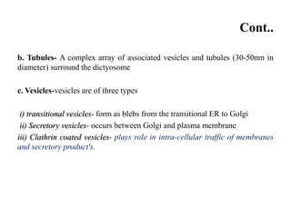 Cont..
b. Tubules- A complex array of associated vesicles and tubules (30-50nm in
diameter) surround the dictyosome
c. Vesicles-vesicles are of three types
i) transitional vesicles- form as blebs from the transitional ER to Golgi
ii) Secretory vesicles- occurs between Golgi and plasma membrane
iii) Clathrin coated vesicles- plays role in intra-cellular traffic of membranes
and secretory product's.
 