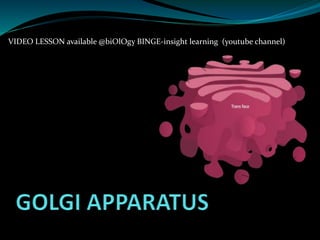 VIDEO LESSON available @biOlOgy BINGE-insight learning (youtube channel)
 