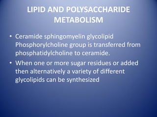 LIPID AND POLYSACCHARIDE
METABOLISM
• Ceramide sphingomyelin glycolipid
Phosphorylcholine group is transferred from
phosphatidylcholine to ceramide.
• When one or more sugar residues or added
then alternatively a variety of different
glycolipids can be synthesized
 