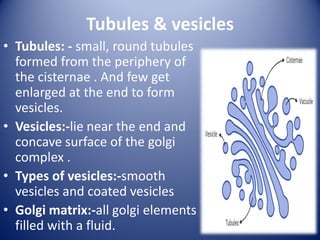 Tubules & vesicles
• Tubules: - small, round tubules
formed from the periphery of
the cisternae . And few get
enlarged at the end to form
vesicles.
• Vesicles:-lie near the end and
concave surface of the golgi
complex .
• Types of vesicles:-smooth
vesicles and coated vesicles
• Golgi matrix:-all golgi elements
filled with a fluid.
 