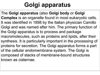 Golgi apparatus
The Golgi apparatus (also Golgi body or Golgi
Complex is an organelle found in most eukaryotic cells.
It was identified in 1898 by the Italian physician Camillo
Golgi and was named after him. The primary function of
the Golgi apparatus is to process and package
macromolecules, such as proteins and lipids, after their
synthesis. It is particularly important in the processing of
proteins for secretion. The Golgi apparatus forms a part
of the cellular endomembrane system. The Golgi is
composed of stacks of membrane-bound structures
known as cisternae.
 