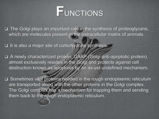 FUNCTIONS
 The Golgi plays an important role in the synthesis of proteoglycans,
  which are molecules present in the extracellular matrix of animals.

 It is also a major site of carbohydrate synthesis.

 A newly characterized protein, GAAP (Golgi anti-apoptotic protein),
  almost exclusively resides in the Golgi and protects against cell
  destruction known as apoptosis by an as-yet undefined mechanism.

 Sometimes vital proteins needed in the rough endoplasmic reticulum
  are transported along with the other proteins in the Golgi complex.
  The Golgi complex has a mechanism for trapping them and sending
  them back to the rough endoplasmic reticulum.
 
