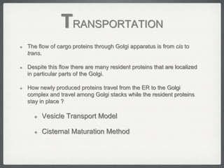 TRANSPORTATION
   The flow of cargo proteins through Golgi apparatus is from cis to
    trans.

   Despite this flow there are many resident proteins that are localized
    in particular parts of the Golgi.

   How newly produced proteins travel from the ER to the Golgi
    complex and travel among Golgi stacks while the resident proteins
    stay in place ?

         Vesicle Transport Model

         Cisternal Maturation Method
 