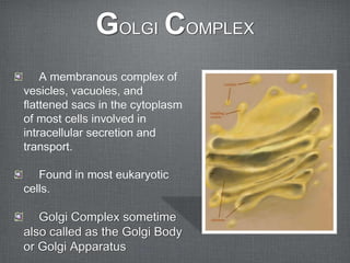 GOLGI COMPLEX
    A membranous complex of
vesicles, vacuoles, and
flattened sacs in the cytoplasm
of most cells involved in
intracellular secretion and
transport.

   Found in most eukaryotic
cells.

   Golgi Complex sometime
also called as the Golgi Body
or Golgi Apparatus
 