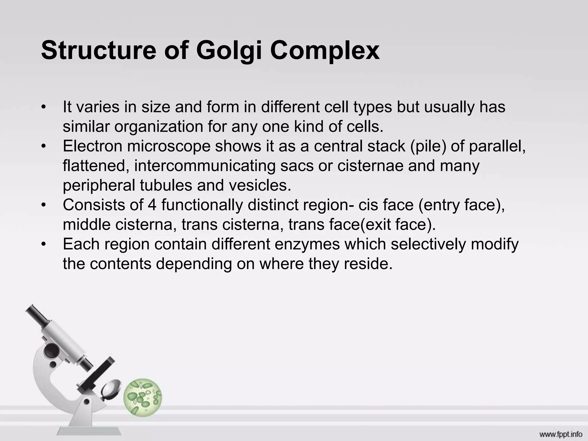 Microscope Cisternae Golgi bodies | PPTX