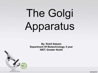 The Golgi
Apparatus
By: Rohit Satyam
Department Of Biotechnology, II year
NIET, Greater Noida
 