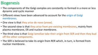 Biogenesis
• The components of the Golgi complex are constantly re-formed in a more or less
dynamic and cyclic manner
• Different views have been advanced to account for the origin of Golgi
membranes.
• One view is that they arise de novo (anew).
• The second view is that they arise from pre-existing membranes, mainly from
plasma membrane, ER and nuclear membrane.
• The third view is that Golgi lamellae take their origin from SER and then they bud
off the other components.
• The SER is believed to take its origin from RER which, in turn, is formed from
nuclear membrane.
 