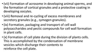 • (vii) Formation of acrosome in developing animal sperms, and
the formation of cortical granules and a protective coating in
developing oocytes.
• (viii) Removal and re-cycling of excess membranes and
secretory granules (e.g., zymogen granules).
•(ix) Formation, packaging and transport of cell wall
polysaccharides and pectic compounds for cell wall formation
in plant cells.
•(x) Formation of cell plate during the division of plants cells.
This is accomplished by the condensation of membrane
vesicles which discharge their contents to
reinforce the cell plate.
 