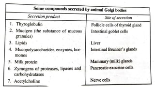 golgi bodies.pptx
