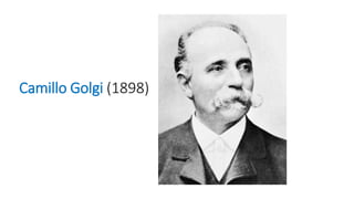 Camillo Golgi (1898)
 