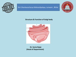 Shri Shankaracharya Mahavidyalaya, Junwani , Bhilai
Structure & Function of Golgi body
Dr. Sonia Bajaj
(Head of Department)
 