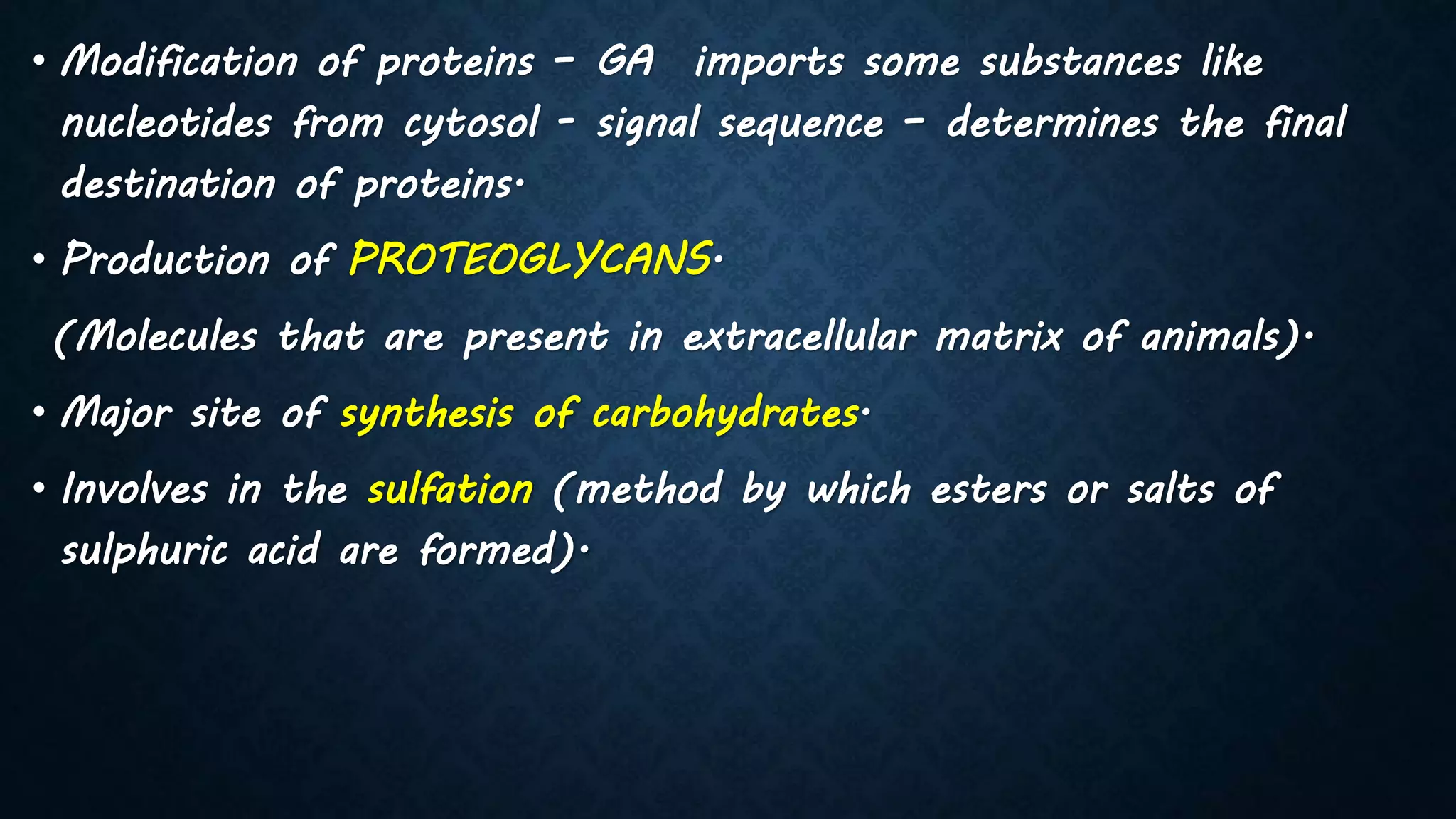 • Modification of proteins – GA imports some substances like
nucleotides from cytosol - signal sequence – determines the final
destination of proteins.
• Production of PROTEOGLYCANS.
(Molecules that are present in extracellular matrix of animals).
• Major site of synthesis of carbohydrates.
• Involves in the sulfation (method by which esters or salts of
sulphuric acid are formed).
 