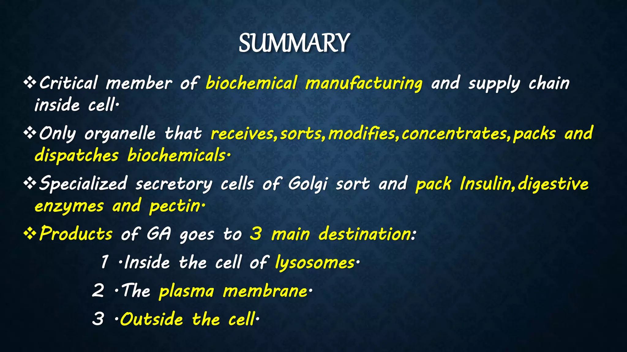 SUMMARY
Critical member of biochemical manufacturing and supply chain
inside cell.
Only organelle that receives,sorts,modifies,concentrates,packs and
dispatches biochemicals.
Specialized secretory cells of Golgi sort and pack Insulin,digestive
enzymes and pectin.
Products of GA goes to 3 main destination:
1 .Inside the cell of lysosomes.
2 .The plasma membrane.
3 .Outside the cell.
 