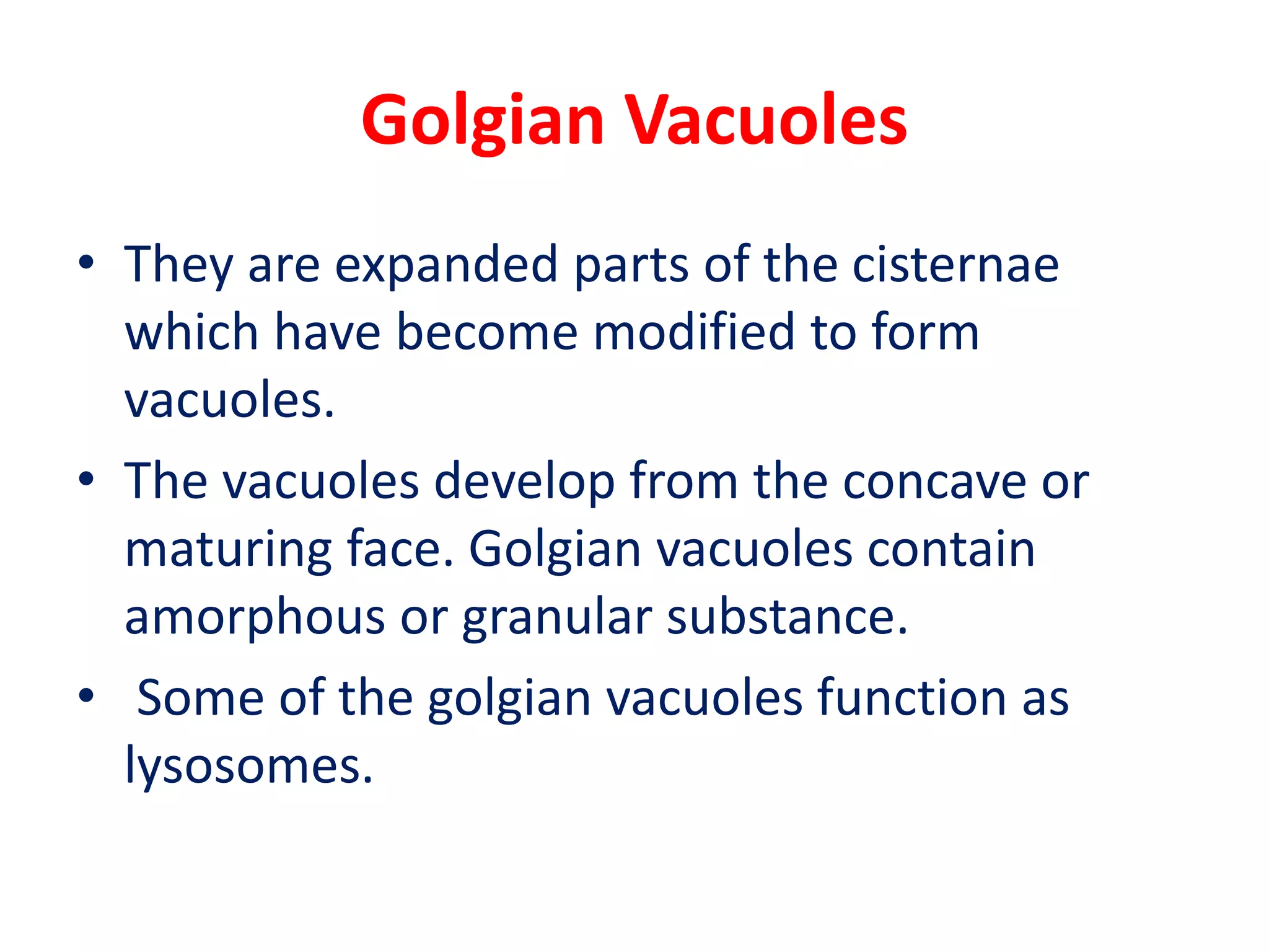 Golgian Vacuoles
• They are expanded parts of the cisternae
which have become modified to form
vacuoles.
• The vacuoles develop from the concave or
maturing face. Golgian vacuoles contain
amorphous or granular substance.
• Some of the golgian vacuoles function as
lysosomes.
 