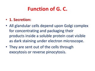 Function of G. C.
• 1. Secretion:
• All glandular cells depend upon Golgi complex
for concentrating and packaging their
products inside a soluble protein coat visible
as dark staining under electron microscope.
• They are sent out of the cells through
exocytosis or reverse pinocytosis.
 