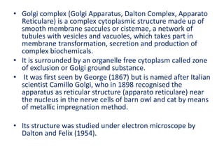 • Golgi complex (Golgi Apparatus, Dalton Complex, Apparato
Reticulare) is a complex cytoplasmic structure made up of
smooth membrane saccules or cistemae, a network of
tubules with vesicles and vacuoles, which takes part in
membrane transformation, secretion and production of
complex biochemicals.
• It is surrounded by an organelle free cytoplasm called zone
of exclusion or Golgi ground substance.
• It was first seen by George (1867) but is named after Italian
scientist Camillo Golgi, who in 1898 recognised the
apparatus as reticular structure (apparato reticulare) near
the nucleus in the nerve cells of barn owl and cat by means
of metallic impregnation method.
• Its structure was studied under electron microscope by
Dalton and Felix (1954).
 