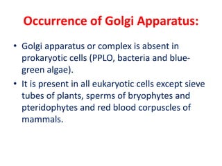 Occurrence of Golgi Apparatus:
• Golgi apparatus or complex is absent in
prokaryotic cells (PPLO, bacteria and blue-
green algae).
• It is present in all eukaryotic cells except sieve
tubes of plants, sperms of bryophytes and
pteridophytes and red blood corpuscles of
mammals.
 