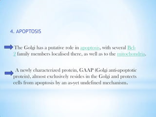 4. APOPTOSIS
The Golgi has a putative role in apoptosis, with several Bcl2 family members localised there, as well as to the mitochondria.
A newly characterized protein, GAAP (Golgi anti-apoptotic
protein), almost exclusively resides in the Golgi and protects
cells from apoptosis by an as-yet undefined mechanism.

 