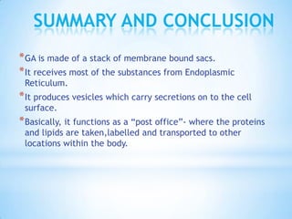 SUMMARY AND CONCLUSION
* GA is made of a stack of membrane bound sacs.
* It receives most of the substances from Endoplasmic
Reticulum.

* It produces vesicles which carry secretions on to the cell
surface.

* Basically, it functions as a “post office”- where the proteins
and lipids are taken,labelled and transported to other
locations within the body.

 