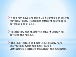 A cell may have one large Golgi complex or several
very small ones. It occupies different positions in
different kind of cells.

In secretory and absorptive cells, it usually lies
between the nucleus.

The invertebrate and plant cells usually have

several small Golgi complexs, called
Dictyosomes, scattered throughout the cytoplasm.

 