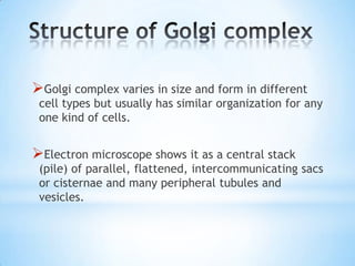 Golgi complex varies in size and form in different

cell types but usually has similar organization for any
one kind of cells.

Electron microscope shows it as a central stack

(pile) of parallel, flattened, intercommunicating sacs
or cisternae and many peripheral tubules and
vesicles.

 