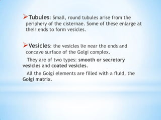 Tubules: Small, round tubules arise from the

periphery of the cisternae. Some of these enlarge at
their ends to form vesicles.

Vesicles: the vesicles lie near the ends and
concave surface of the Golgi complex.

They are of two types: smooth or secretory
vesicles and coated vesicles.
All the Golgi elements are filled with a fluid, the
Golgi matrix.

 