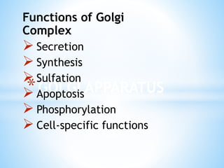 Functions of Golgi
Complex

 Secretion
 Synthesis
 Sulfation
* ApoptosisAPPARATUS
GOLGI

 Phosphorylation
 Cell-specific functions

 