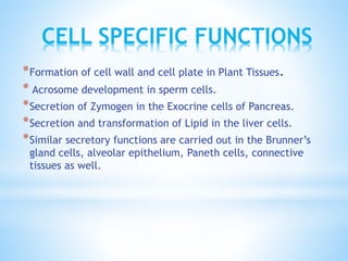 CELL SPECIFIC FUNCTIONS
* Formation of cell wall and cell plate in Plant Tissues.
* Acrosome development in sperm cells.
* Secretion of Zymogen in the Exocrine cells of Pancreas.
* Secretion and transformation of Lipid in the liver cells.
* Similar secretory functions are carried out in the Brunner’s
gland cells, alveolar epithelium, Paneth cells, connective
tissues as well.

 